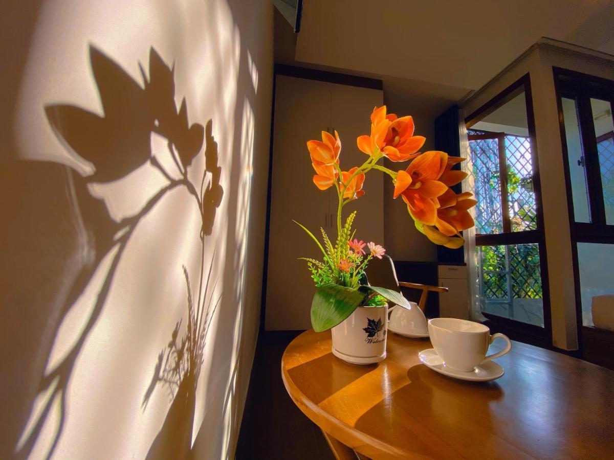 Dawn Villa Homestay הוי אן מראה חיצוני תמונה